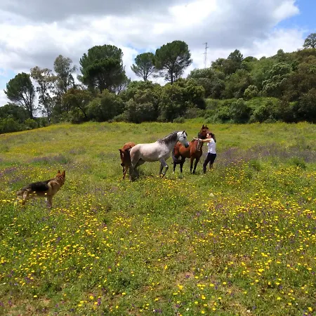 Solanas Del Pilar Country house *